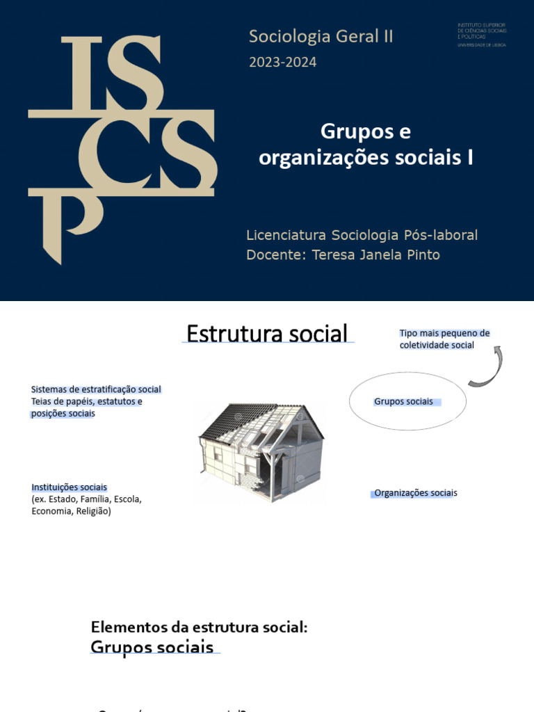 Aula 2 - Grupos e Organizaã Ã Es Sociais I SG II 23-24 | PDF ...