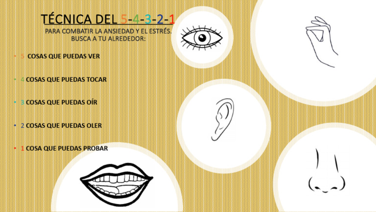 Técnica 5-4-3-2-1 para la Ansiedad | PDF