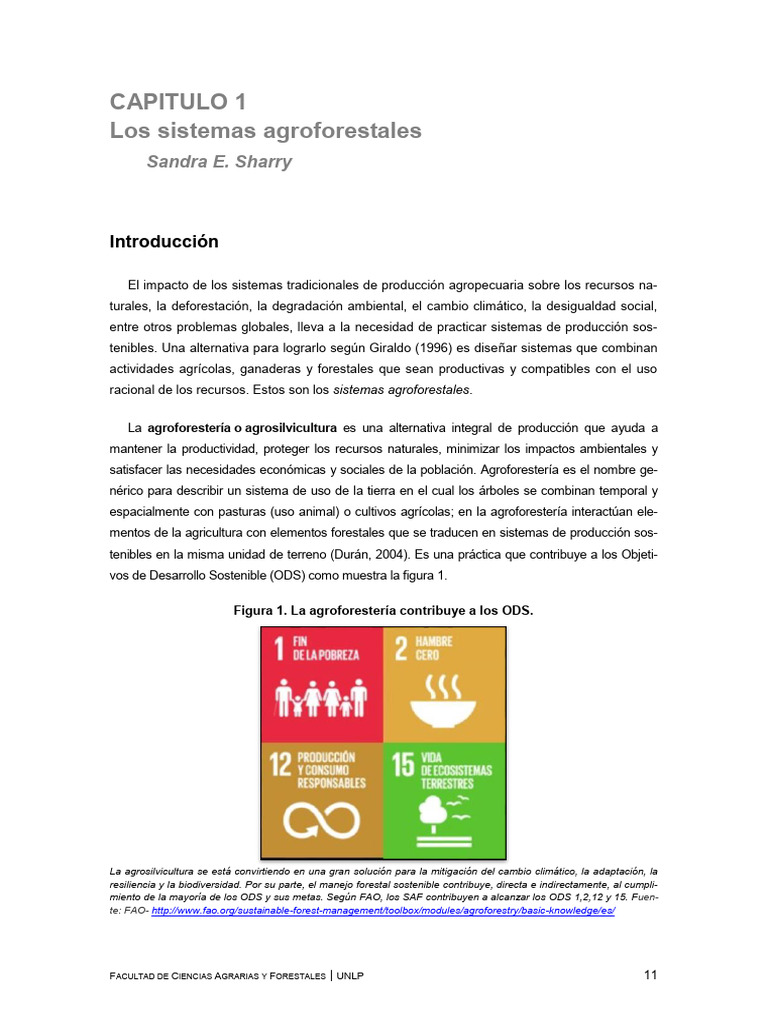 Documento Completo - pdf-PDFA | PDF | Agricultura | Sistema