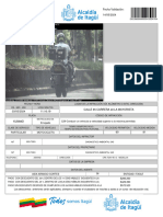 Consultar Evidencia PDF