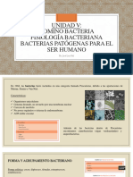 Unidad V Dominio Bacteria-Fisiolog-A Bacteriana