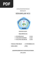 Download KEHAMILAN HCG by hasbi adilendra SN73328363 doc pdf