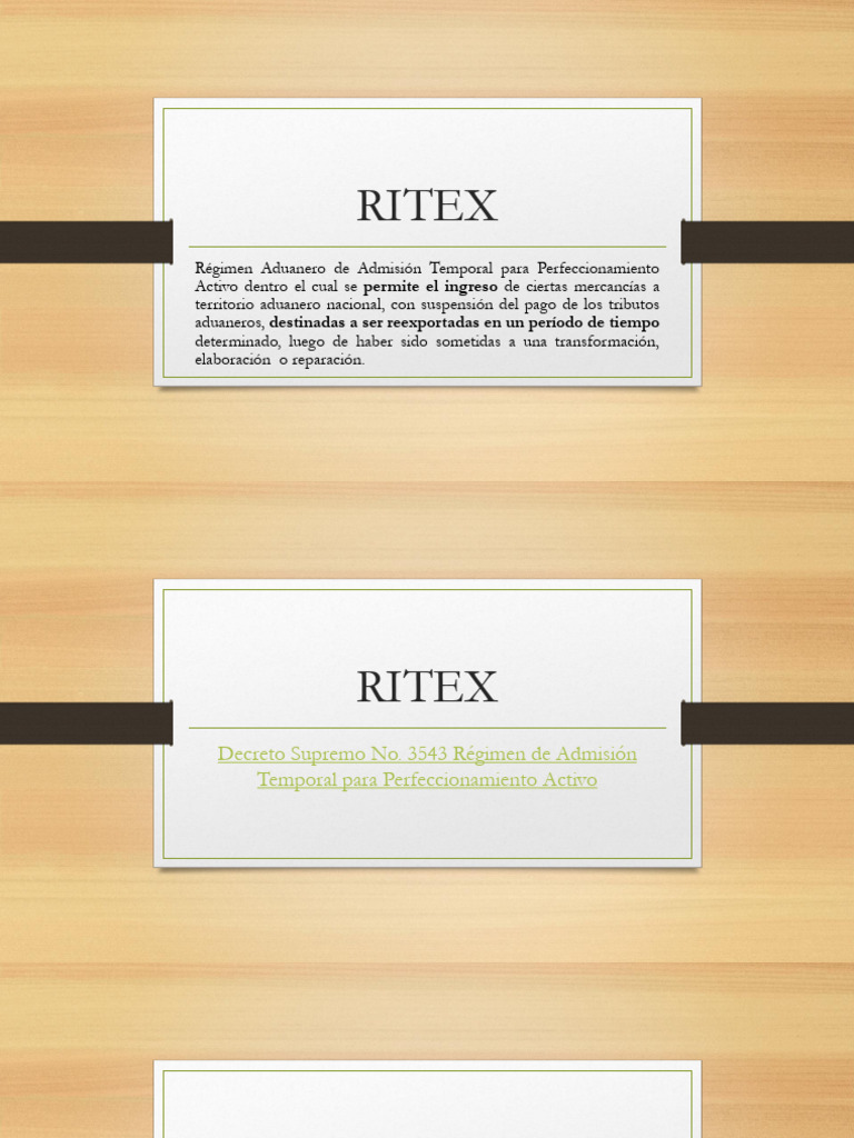Qué es el RITEX y su funcionamiento | PDF | aduana | Business