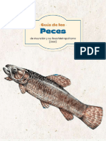 Guía-de-Peces