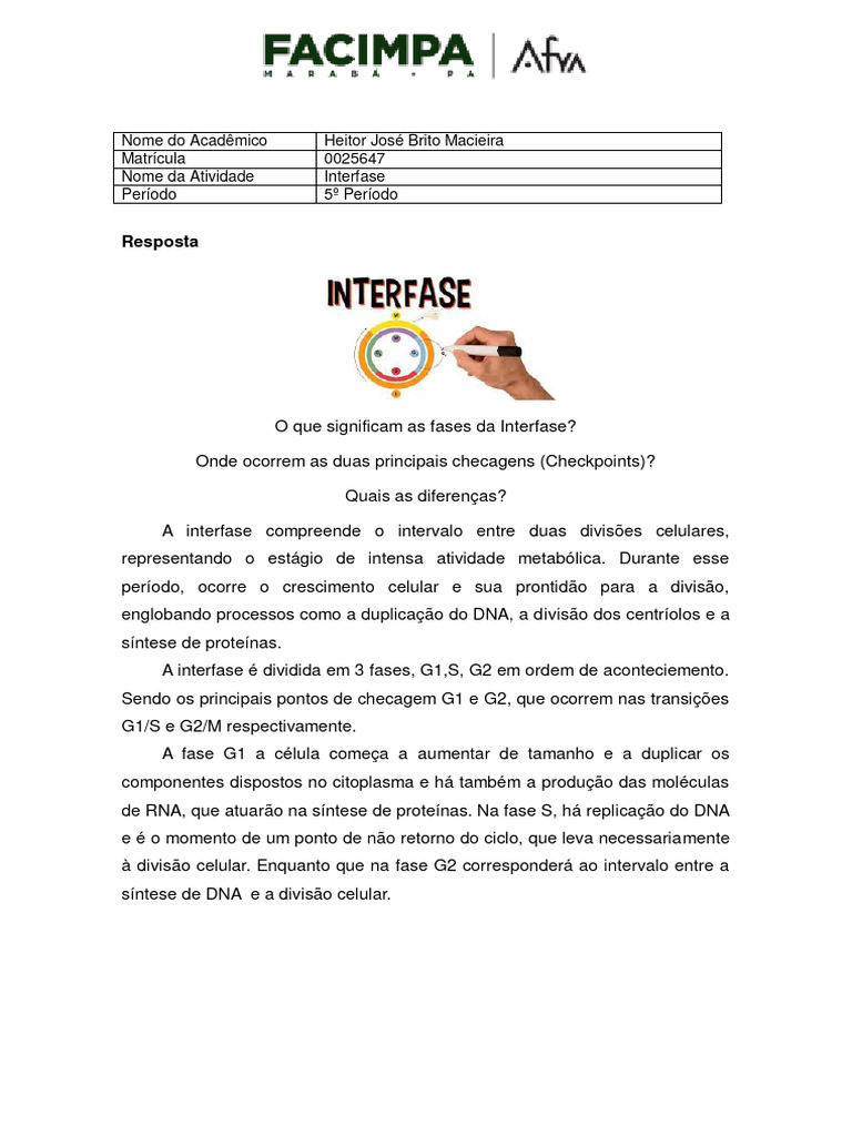 Fases da Interfase Celular | PDF