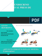 Sistema Neuroendocrino