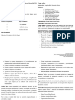 Plan de Auditoria Style Color