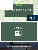 Microsoft Excel