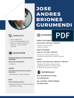 Curriculum Vitae Jose Andres Briones Gurumendi para Banco