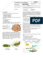 Acumulativa Ciencias 5 Primer Periodo 2024 e