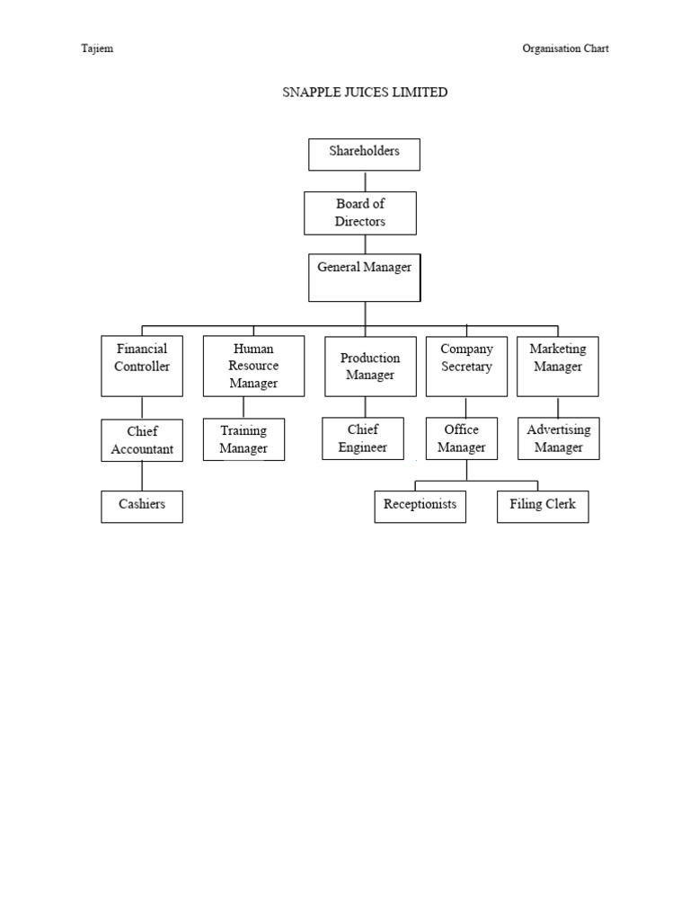Organisation Chart | PDF