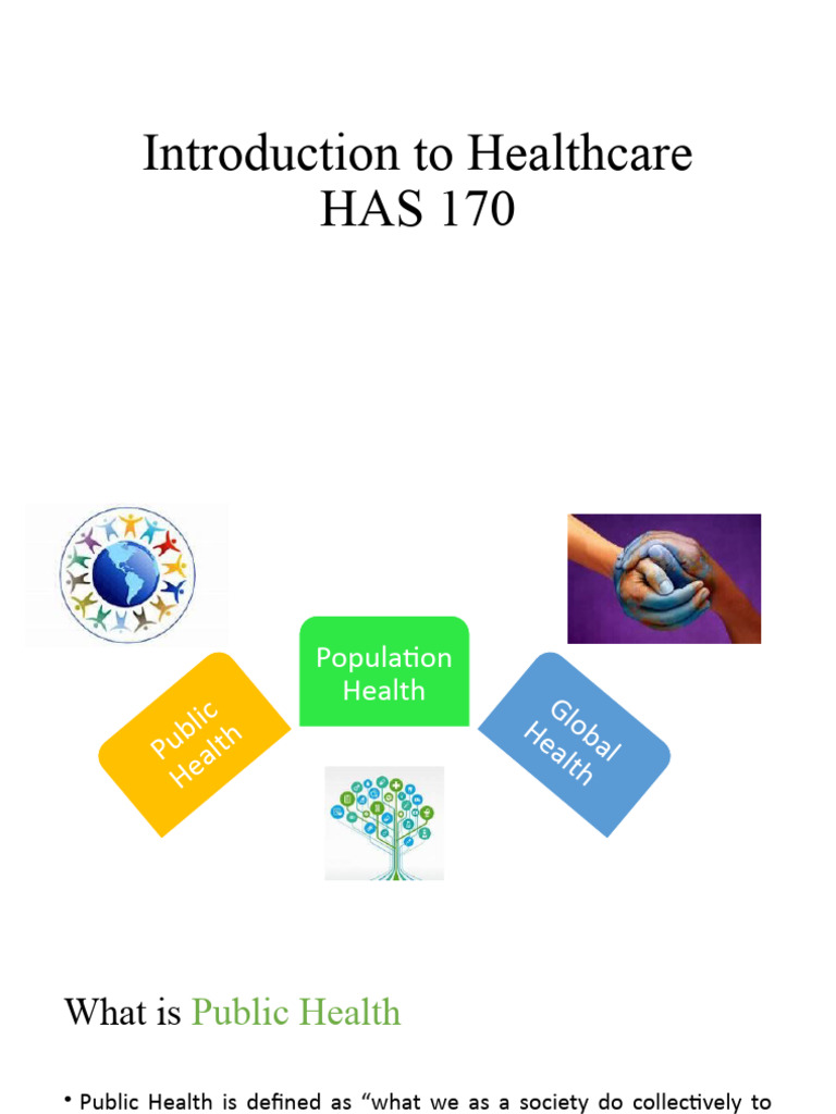 Public Health and Interventions Guide | PDF | Public Health | Global Health