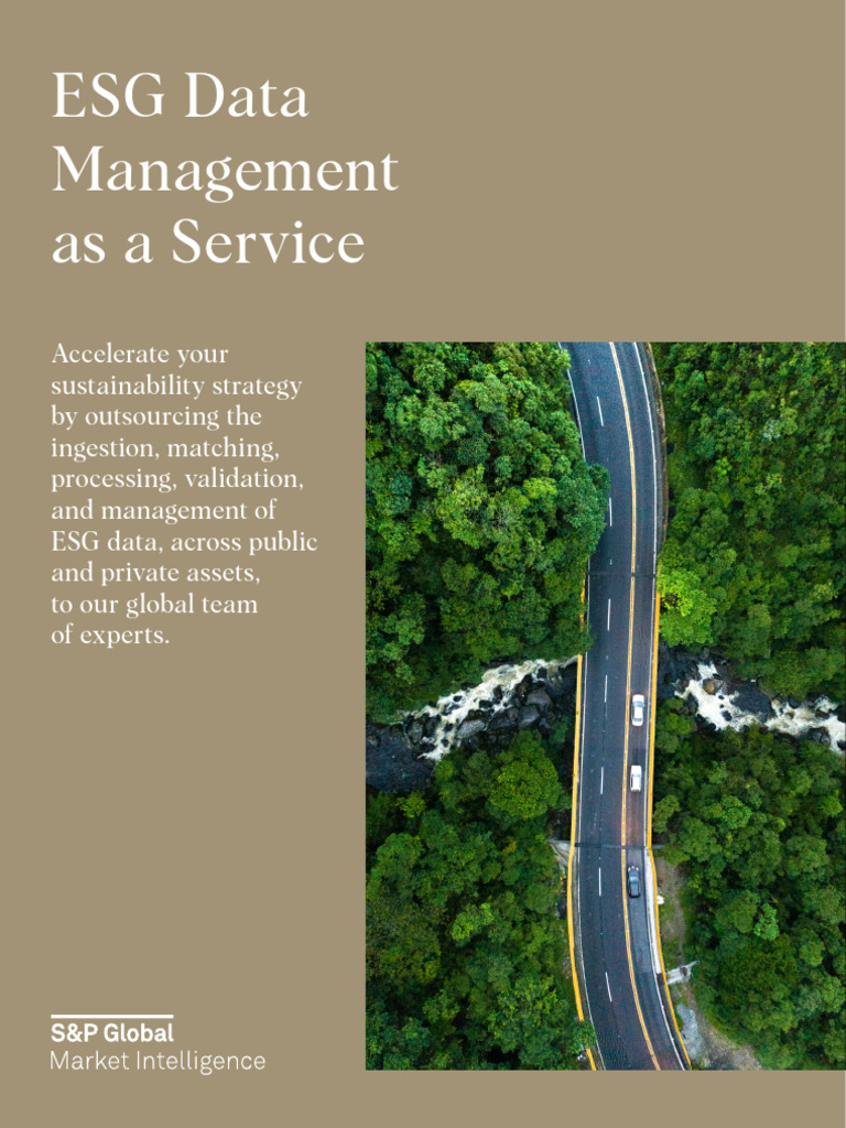 Esg Dmaas Brochure Final Pdf Outsourcing Data Quality
