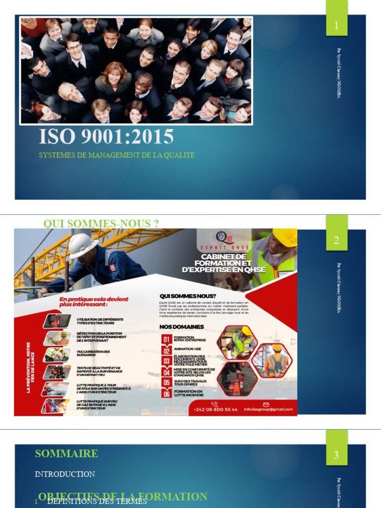 ISO 9001: Principes et Exigences 2015 | PDF | Management de la qualité ...