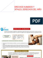 Derechos Humanos Fundamentales Vanessa Chumbe 2