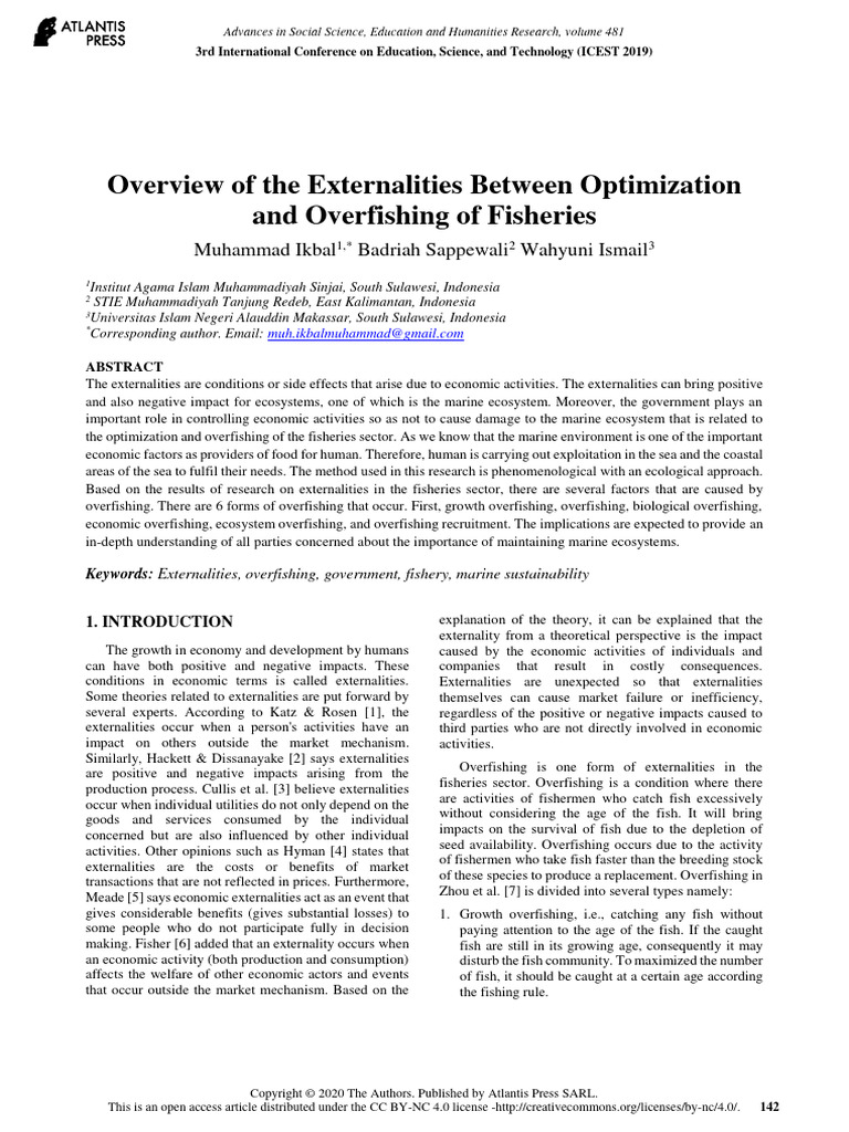 overview-of-the-externalities-between-optimization-and-overfishing-of