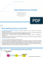 Material de La Clase, Bases Inmunológicas de Las Vacunas - Dr. Galicchio
