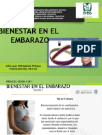 Bienestar en El Embarazo