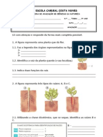 Ficha de Avaliação