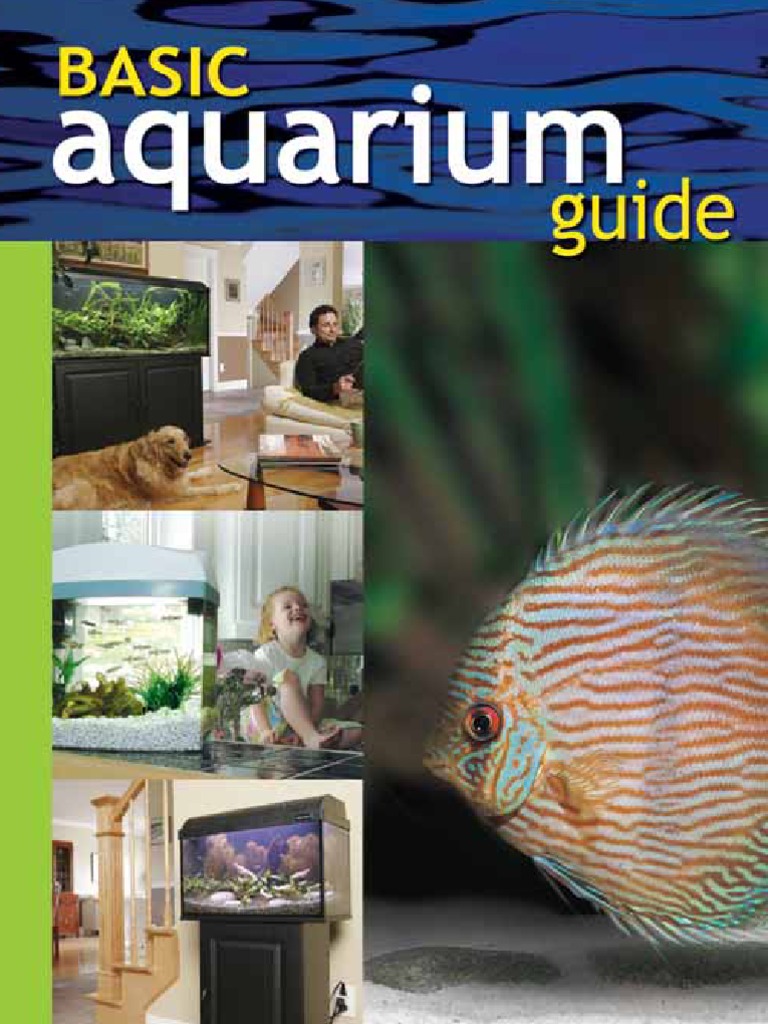 Basic Aquarium Guide | PDF | Aquarium | Filtration