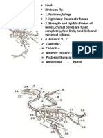 New Ppt-25 Bones of Fowl