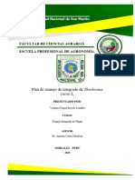 Informe de Cacao MIP