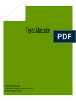 Tejido Muscular 2018