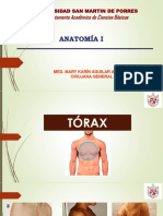 Clase Torax, Gland Mamaria, Resp y Cardiov