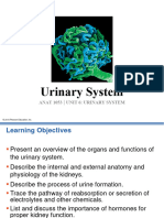 ANAT 1053 Unit 6 Urinary System Prof Slides Fall 2021