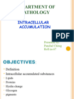 Intracellular Accumulation