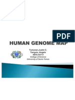 Human Genome Map