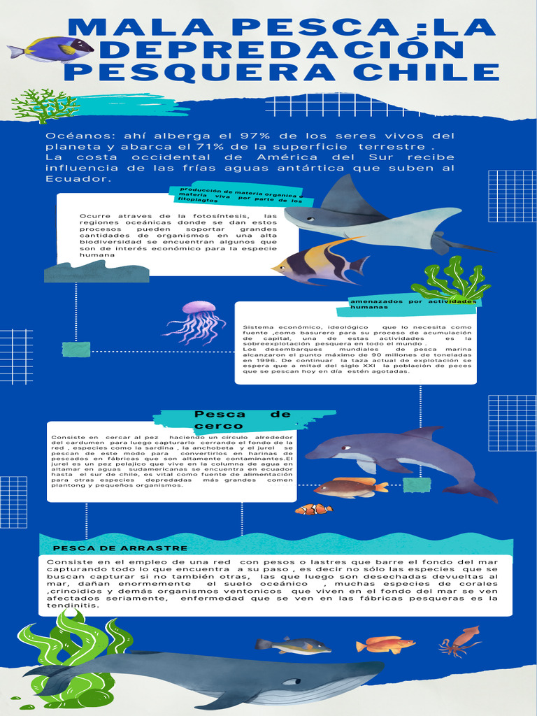 infograf-a-de-datos-sobre-el-mar-animales-marinos-recortes-azul