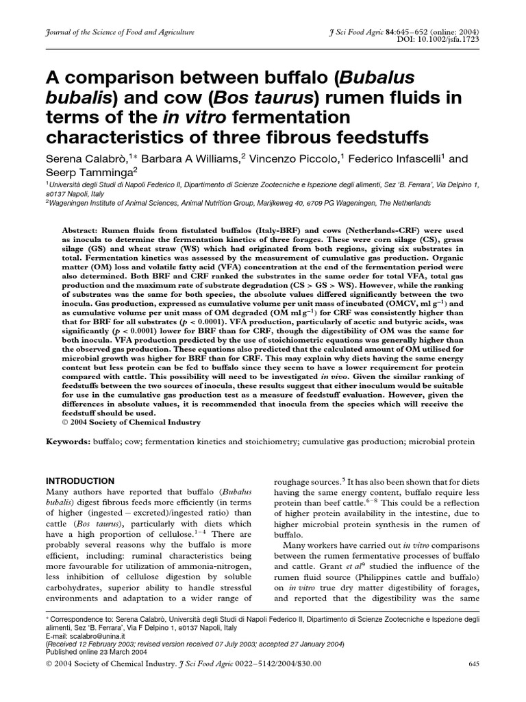Buffalo vs cow | PDF | Cattle | Fermentation