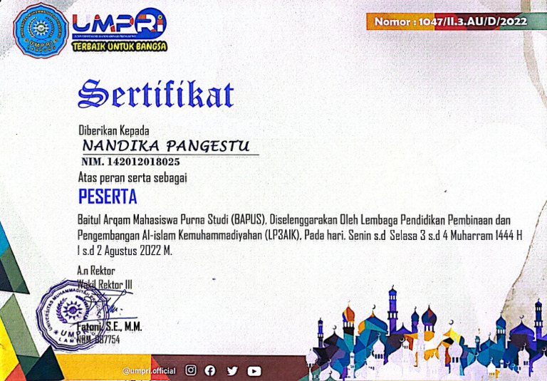 Paradigm Peptides Our Verdict After Weeks Of Testing - z8ssnz2