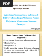 Qajeelfama Bulchiinsa Baajata Faayinaansiifi Qabeenya PDF