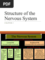 Biological Basis of Nuer o Science