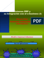 SII11 - Sistemas ERP y Ebusiness I