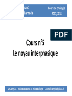 noyau interphasique