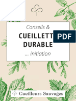 2023-guide-des-plantes-sauvages-cueillette-michael-berthoud-cueilleurs-sauvages-avec compression PP