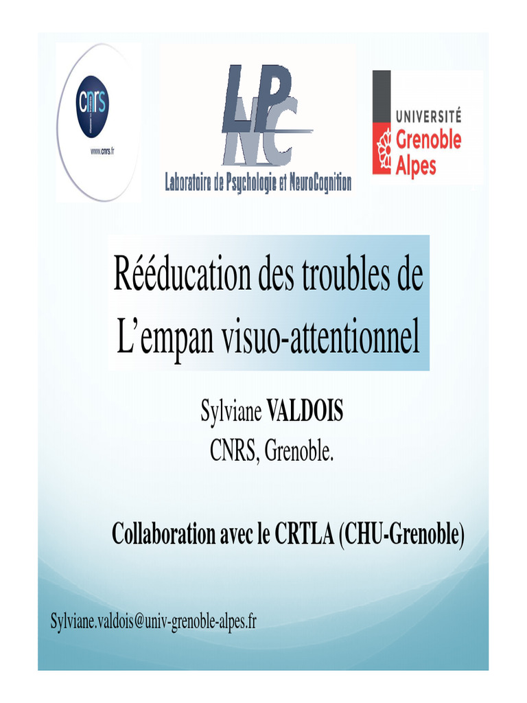 Rééducation de l'empan visuo-attentionnel | PDF | Dyslexie | Attention