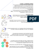 ביולוגיה מולקולרית - שיעור 3 - 040308