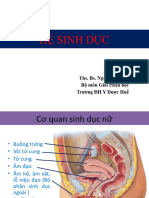 Cơ Quan Sinh Dục Nữ_slide