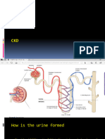 CKD