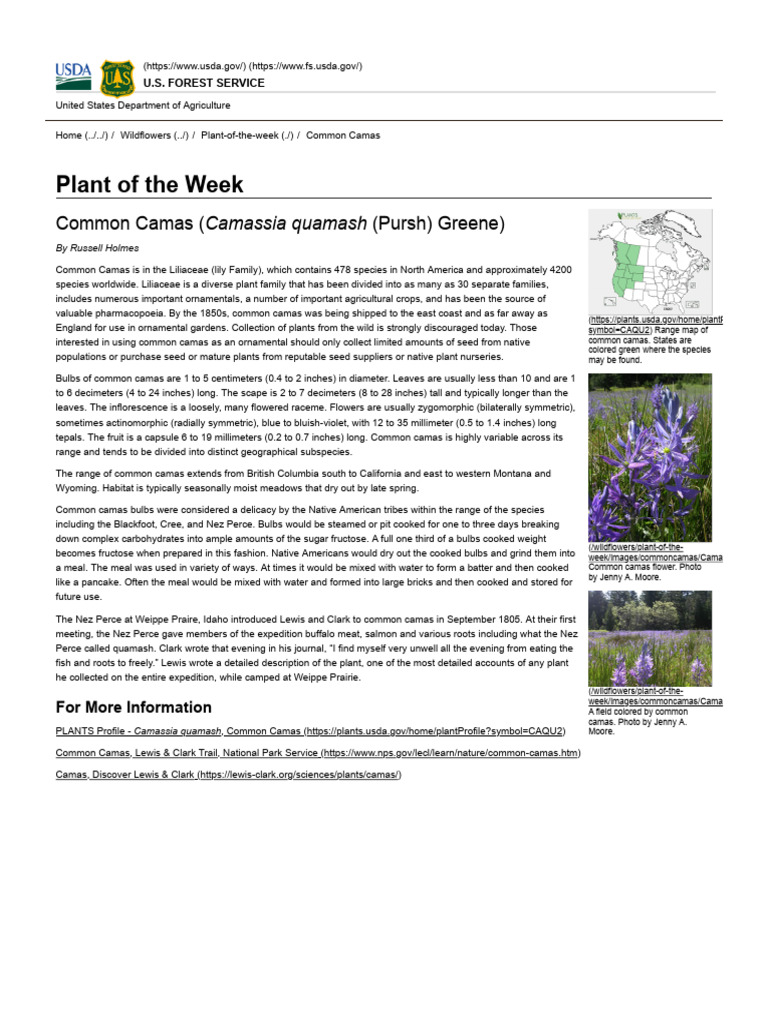 Common Camas | PDF | Plants