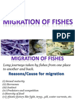 Migration-of-Fishes-1