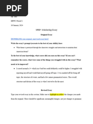 Scholarship Essay 