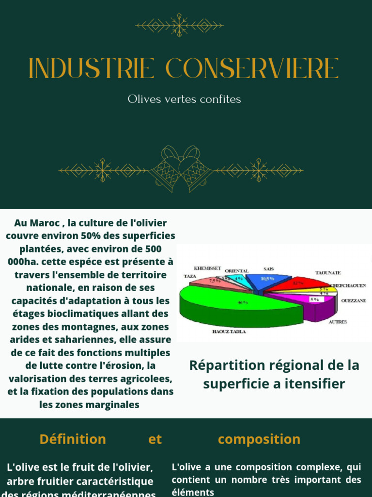 Industrie des olives au Maroc | PDF | olive