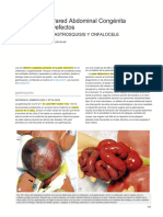Onfalocele-Gastrosquisis Cap 48