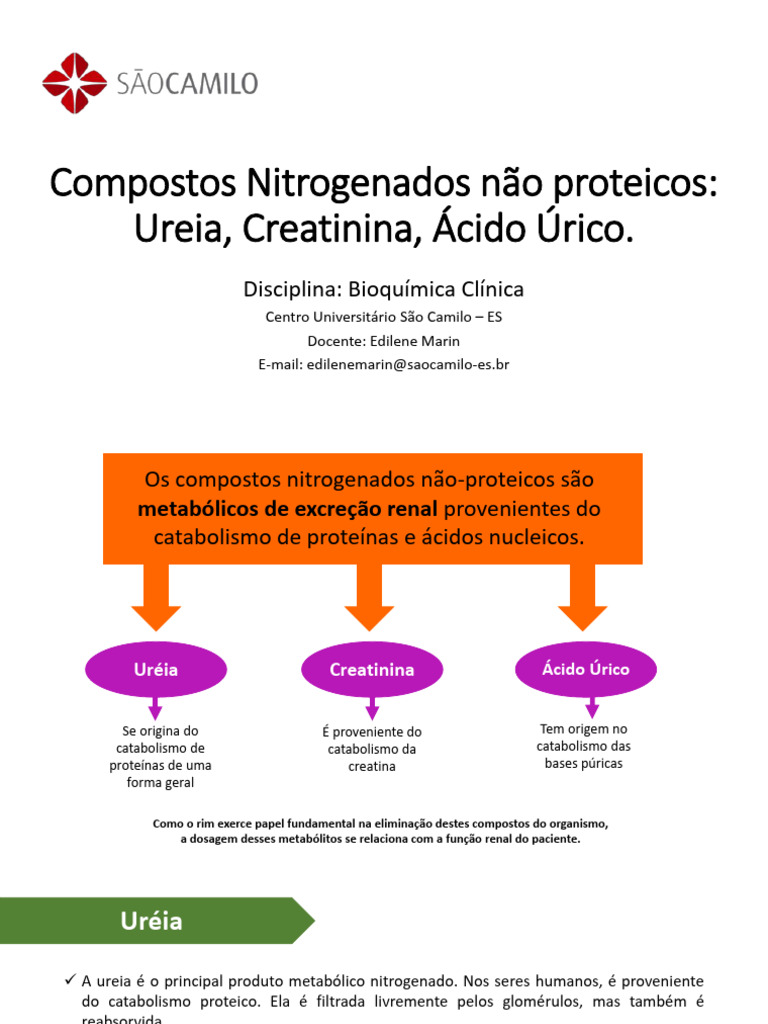 Aula 05 - Compostos Nitrogenados Não Proteicos - Ureia, Creatinina ...
