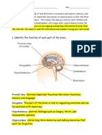 Chapter 2 The Brain_Structure and Function of the Brain